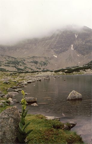 jezero pod Musalou